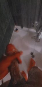 homme se branle dans la douche
